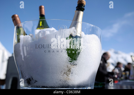 Louis Roederer Champagner-Flaschen in einem Eiskübel, 26. St. Moritz Polo World Cup on Snow, Engadin, Oberengadin, St. Moritz Stockfoto