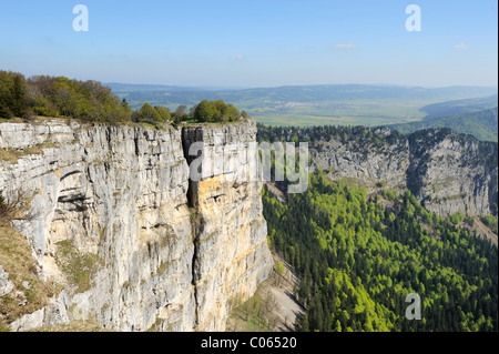 Felskessel des Creux du Van, das älteste Naturschutzgebiet der Schweiz, Jura, Neuenburg, Schweiz, Europa Stockfoto