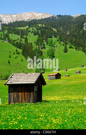 Scheune auf einer Wiese in der Nähe von Laehn, Tiroler Zugspitzarena, Tirol, Austria, Europe Stockfoto