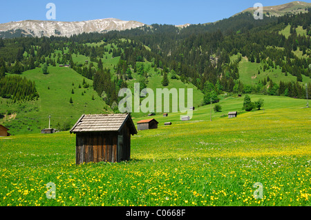 Scheune auf einer Wiese in der Nähe von Laehn, Tiroler Zugspitzarena, Tirol, Austria, Europe Stockfoto