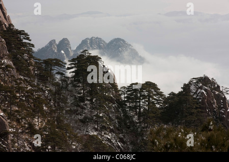 Klare Sicht der Huangshan-Berg im Winter zeigen die Berge und die Bäume sind mit Schnee bedeckt sinkt. Stockfoto