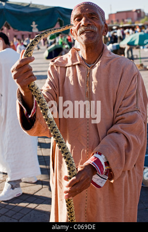 Snake Charmer Platz Djemaa El Fna Marrakesch Marokko Stockfoto