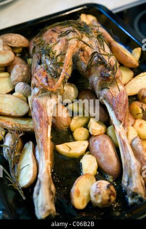 Spanferkel, Lamm Gelenke auf dem Backblech mit Gemüse gekocht Stockfoto