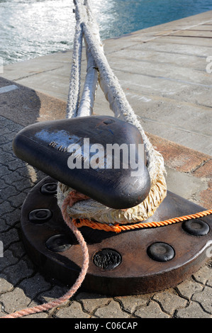 Poller, Liegeplatz im Hafen von Kopenhagen, Dänemark, Europa Stockfoto