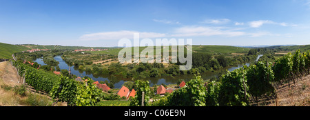 Old Main River, Blick über die Städte des Köhler, Escherndorf, links und Nordheim am Main, Mainschleife, Schleife in den Main Stockfoto