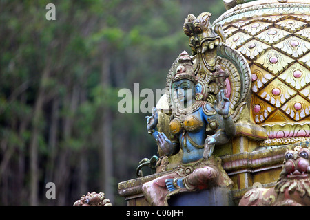 Detail einer Statue in einen Hindu-Tempel, Nuwara Eliya, Sri Lanka Stockfoto