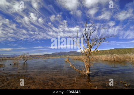 Theodore Roosevelt Lake (in der Regel Roosevelt Lake, manchmal Lake Roosevelt genannt) ist ein großes Reservoir in Arizona Stockfoto