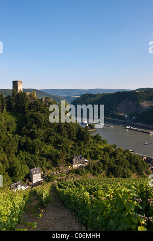 Burg Gutenfels Castle mit Weinberge oberhalb von Burg Pfalzgrafenstein Castle in Kaub bin Rhein, Rheinland-Pfalz, Deutschland, Europa Stockfoto