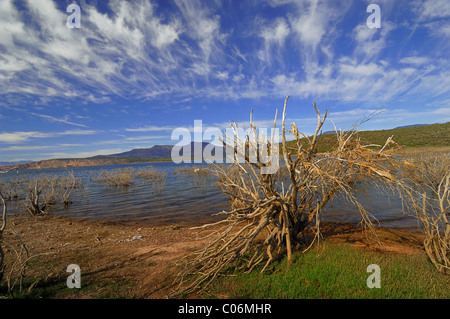 Theodore Roosevelt Lake (in der Regel Roosevelt Lake, manchmal Lake Roosevelt genannt) ist ein großes Reservoir in Arizona Stockfoto