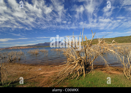 Theodore Roosevelt Lake (in der Regel Roosevelt Lake, manchmal Lake Roosevelt genannt) ist ein großes Reservoir in Arizona Stockfoto