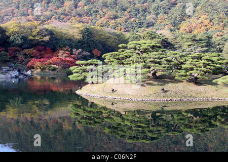 Insel und See in Ritsurin Koen Gärten, Takamatsu, Shikoku, Japan. Stockfoto
