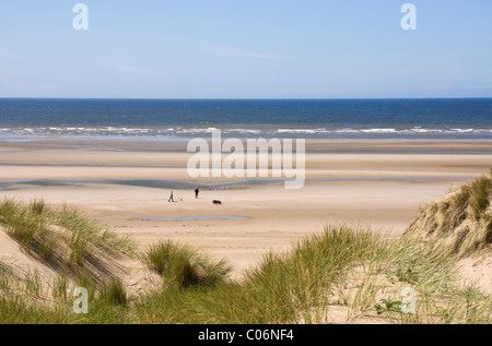 Strand und Dünen in Formby, Lancashire. Zeigt ein paar zwei Hunden spazieren. Stockfoto