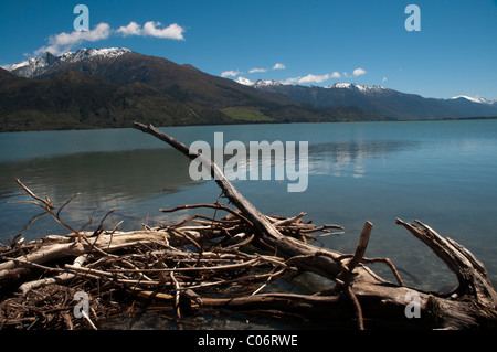 An den Ufern des Lake Wanaka in den südlichen Alpen von Neuseeland Totholz Totholz am Ufer des Wanaka-See in Den Südalpen Stockfoto