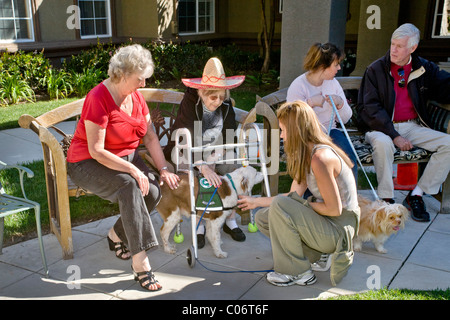 Eine Frau Liebe Freiwilligen stellt ihr Therapiehund ein Patient in einem Altersheim in Mission Viejo, Kalifornien. Stockfoto