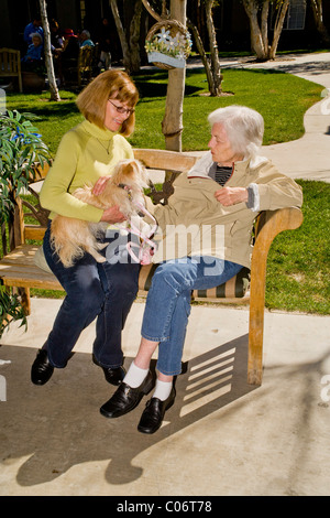 Eine Frau Liebe Freiwilligen stellt ihr Therapiehund ein Patient in einem Altersheim in Mission Viejo, Kalifornien. Stockfoto