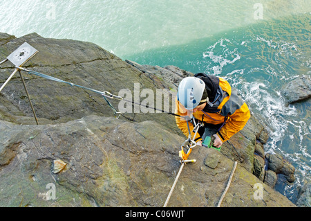 Seilzugangstechnik und Fernkamera Installationsarbeiten. Stockfoto