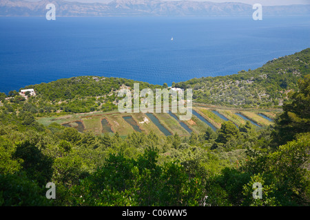 Kozarica Dorf auf der Insel Mljet Stockfoto