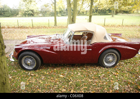 Daimler Oldtimer auf eine private Einfahrt unter die Herbst-Blätter. Stockfoto