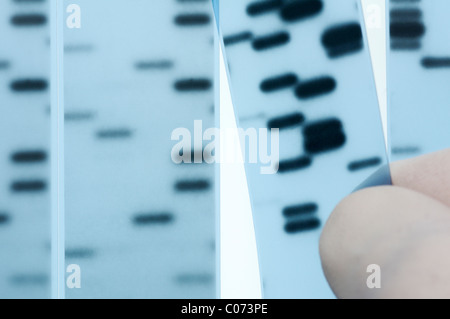 DNA-Sequenzierung. Wissenschaftler verweist auf Bänder, Nukleotidbasen (A, C, T, G) im Röntgenbild eines Gels darstellt.  Sanger Methode. Stockfoto