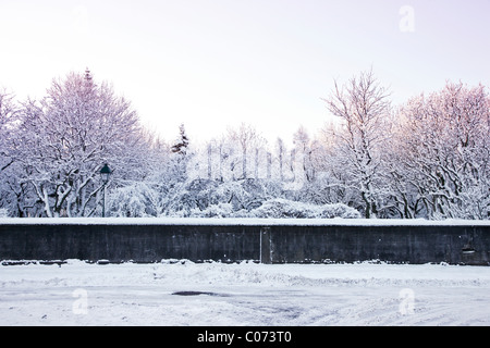 Park in Reykjavik, Island mit frischem Schnee bedeckt Stockfoto
