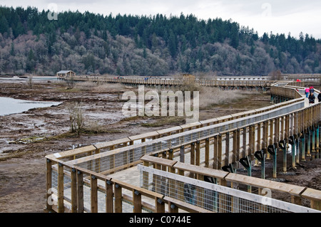 Neue Promenade an der Nisqually National Wildlife Refuge befindet sich zwischen Olympia und Tacoma, Washington. Stockfoto