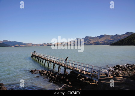 Holzsteg, Rapaki, Lyttelton Harbour, der Bank Halbinsel, Region Canterbury, Südinsel, Neuseeland Stockfoto