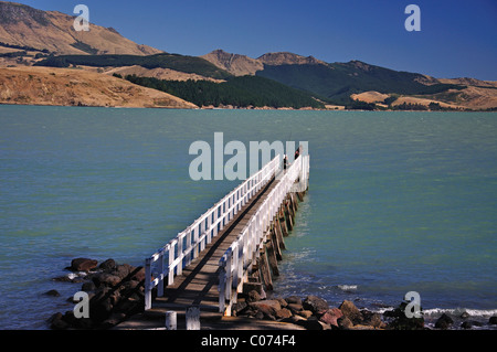 Holzsteg, Rapaki, Lyttelton Harbour, der Bank Halbinsel, Region Canterbury, Südinsel, Neuseeland Stockfoto