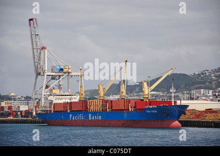 Tiawai Point Bulk Carrier Loading Logs in Wellington Harbour, Wellington Region, Nordinsel, Neuseeland Stockfoto