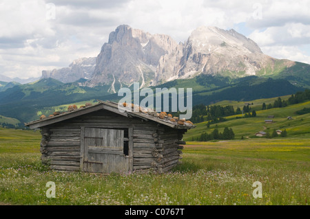 Alphütte vor Plattkofels und Langkofel Berge, Seiser Alm, Südtirol, Italien, Europa Stockfoto