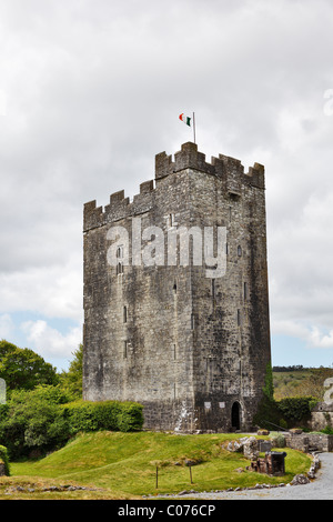 Dysert O' Dea Schloß nahe Corofin, County Clare, Irland, Europa Stockfoto