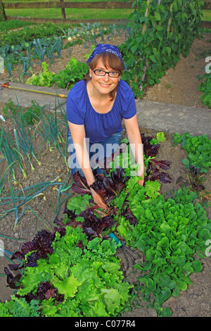 Junge Frau, Gartenarbeit, arbeiten in einem organischen Hausgarten mit Salat, Zwiebeln, Petersilie, Stangenbohnen und rote Beete Stockfoto