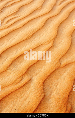 Düne Oberfläche, Wahiba Sands, Oman, Naher Osten Stockfoto