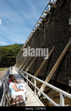 Dem Studium arbeitet im Salinental Tal von Bad Kreuznach, Rheinland-Pfalz, Deutschland, Europa Stockfoto