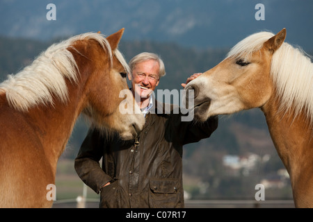 Agile Senior mit seinem Haflinger Pferde, Weer, Nord-Tirol, Austria, Europe Stockfoto