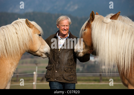 Agile Senior mit seinem Haflinger Pferde, Weer, Nord-Tirol, Austria, Europe Stockfoto