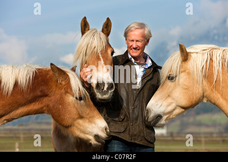 Agile Senior mit seinem Haflinger Pferde, Weer, Nord-Tirol, Austria, Europe Stockfoto