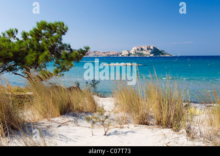 Sandstrand mit Blick auf die Zitadelle von Calvi, Balagne, Korsika, Frankreich, Europa Stockfoto