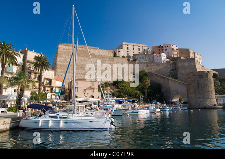 Hafen und die Zitadelle von Calvi, Balagne, Korsika, Frankreich, Europa Stockfoto