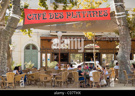 Cafe mit Flugzeug Bäume, Ile Rousse, Balagne, Insel Korsika, Frankreich, Europa Stockfoto