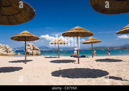 Sonnenschirme am Strand Plage de Verghia, Golf von Ajaccio, Korsika, Frankreich Stockfoto