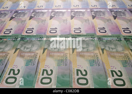 Verschiedene kanadische Dollar-Banknoten Stockfoto