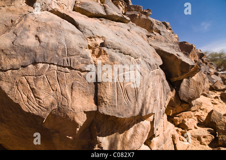 Felsgravuren im Wadi Mathendous, Giraffe, Wadi Barjuj, steinigen Wüste, Libyen, Sahara Nordafrika, Afrika Stockfoto