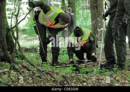 Maria Boegerl Entführung Fall, Suche Polizei Team Scheuern Wälder nahe der Stelle, wo eine Leiche in einem Wald gefunden wurde Stockfoto