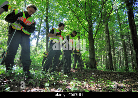 Maria Boegerl Entführung Fall, Suche Polizei Team Scheuern Wälder nahe der Stelle, wo eine Leiche in einem Wald gefunden wurde Stockfoto