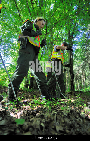 Maria Boegerl Entführung Fall, Suche Polizei Team Scheuern Wälder nahe der Stelle, wo eine Leiche in einem Wald gefunden wurde Stockfoto