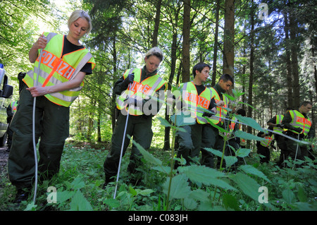 Maria Boegerl Entführung Fall, Suche Polizei Team Scheuern Wälder nahe der Stelle, wo eine Leiche in einem Wald gefunden wurde Stockfoto