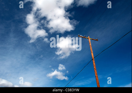 Eine hölzerne Telegrafenmast gegen ein blauer Himmel mit weißen Wolken. Kalifornische Wüste, USA Stockfoto