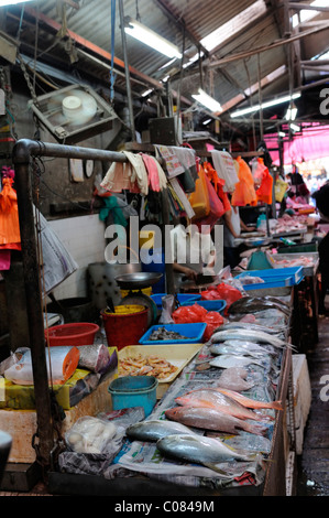 frische ganze Fische auf Verkauf im überfüllten nassen Markt Petaling street Kuala Lumpur Chinatown Malaysia malaysischen Chinesen Stockfoto