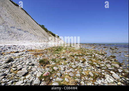 Kies-Strand mit Vegetation und Kreidefelsen an der Ostsee-Küste, Kap Arkona, Insel Rügen, Mecklenburg-Vorpommern Stockfoto