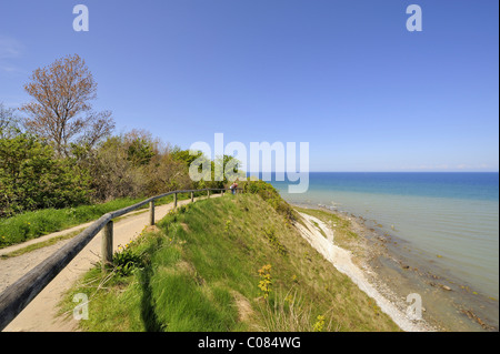 Gesicherten Weg auf den Klippen in der Nähe von Kap Arkona, Insel Rügen, Mecklenburg-Western Pomerania, Deutschland, Europa Stockfoto